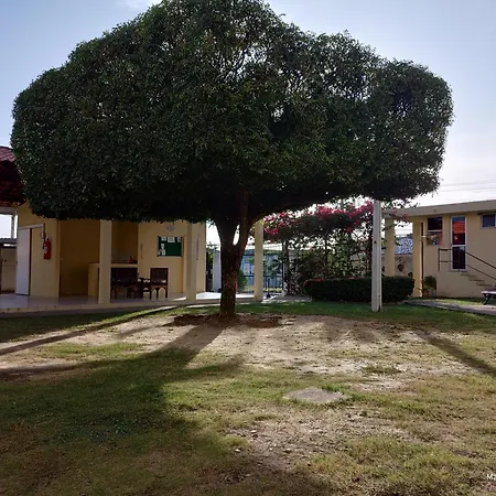 Apt Terreo Perto Do Arena * Fortaleza (Ceara)